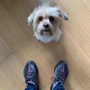 Meet your Posher, Chris